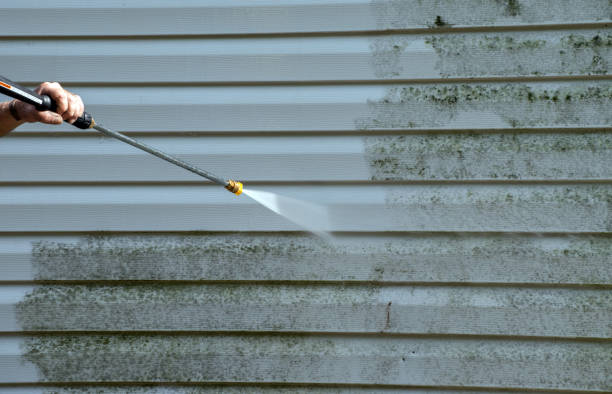 Best Pressure Washing Company Near Me  in Elmwood, IL