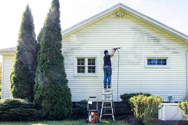 Best Affordable Power Washing  in Elmwood, IL